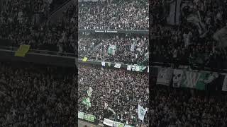 Hammarby [upl. by Aerol]