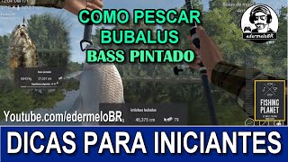 Como pescar Ictiobus Bubalus e Bass pintado no Lago Lone Star  Fishing Planet 🎣 [upl. by Lahcym873]