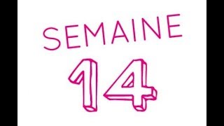 14éme semaine de grossesse  16ème semaine d’aménorrhée [upl. by Nylime849]