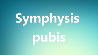 Symphysis pubis  Medical Definition and Pronunciation [upl. by Inahteb400]