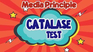 CATALASE TEST Principle II Biochemical test II Microbiology Practical [upl. by Ahsyen]