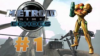 Lets Play Metroid Prime 2 Echoes Blind  1  A New Horror [upl. by Atteinotna]