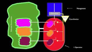 Viable System Model [upl. by Whiffen963]