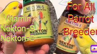 How To Make The Parrot Breeding Fast By NektonE amp NektonSChia Sẻ Thuốc Vitamin Giup Vẹt Đẻ Nhanh [upl. by Imeaj]