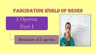 lambda operon  Structure of lambda operon [upl. by Blackmun]