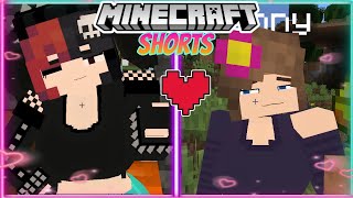 Minecraft Jenny MOD Gameplay 1122 Ellie Mod CENSORED  Ellie jenny shorts Mix [upl. by Yna]