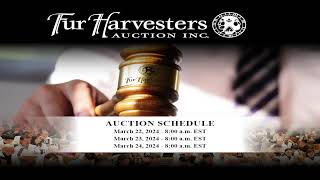 Fur Harvesters Auction Inc Live Stream [upl. by Amandie]