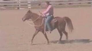 Gaited Horses Naturally [upl. by Macomber655]