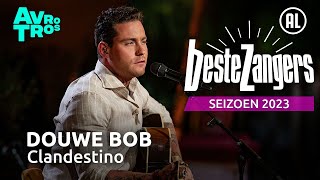 Douwe Bob  Clandestino  Beste Zangers 2023 [upl. by Meg]