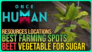 How to Get Beet Once Human – Farming Locations [upl. by Jervis]