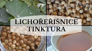 Lichořeřišnice tinktura recept  Recepty z přírody [upl. by Marena976]