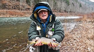 Winter Trout Fishing On Pine Creeks Catch amp Release Stretch [upl. by Alderman705]