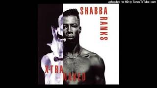 Shabba Ranks  TingALing [upl. by Tollmann]