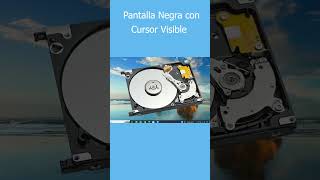 Pantalla negra con cursor visible [upl. by Hourigan474]