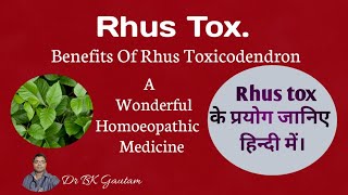 Rhus tox 30  Homeopathic medicine usesRhus Toxicodendron 200 uses in hindiUses of Rhus tox 1M [upl. by Eyram385]