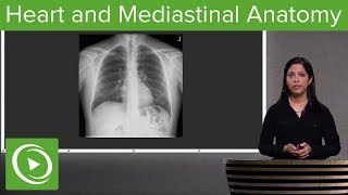 Heart and Mediastinal Anatomy – Radiology  Lecturio [upl. by Vaughan416]