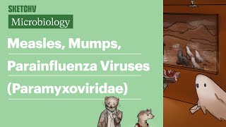 Measles Mumps Parainfluenza Viruses Microbiology  USMLE Step 1  Sketchy Medical [upl. by Yerffeg]