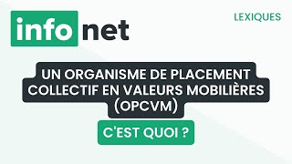 Un OPCVM cest quoi  définition aide lexique tuto explication [upl. by Anwahsed]