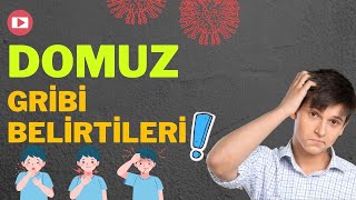 Domuz gribi nedir Domuz Gribi Belirtileri Nelerdir  Prof Dr Ahmet AkcÌ§ay [upl. by Lisab421]