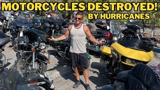 What Happens to Motorcycles Destroyed by Hurricanes  Heartbreaking Harley Graveyard 😢 [upl. by Rehteh]