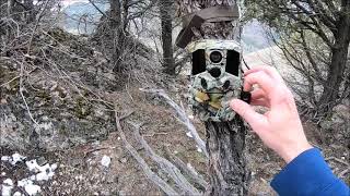 WoSports G300 Trail Camera Review [upl. by Baiss]