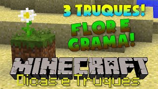 3 DICAS e TRUQUES SOBRE GRAMA e PLANTA no MINECRAFT [upl. by Perren]