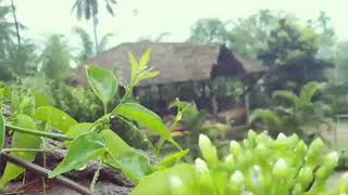 Hill ranches resort Anakkampoyil calicut [upl. by Ahsets264]