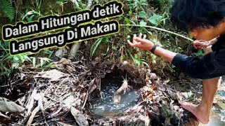 Mancing Di Lobang Misterius Ternyata Tempat Bersarangnya ikan lele monster [upl. by Kelam219]