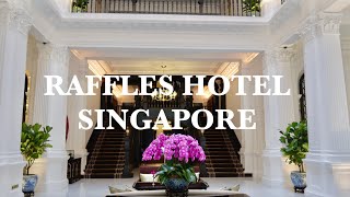 Singapore  Raffles Hotel Singapore  Singapore Vlog  Afternoon Tea  Hotel  Cocktail  Tea  4K [upl. by Weslee236]