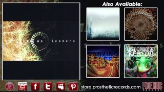 Animals As Leaders  Track Nine  Inamorata [upl. by Atinrev]