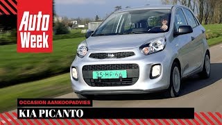 Kia Picanto  Occasion Aankoopadvies [upl. by Toth]