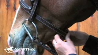 How to Fit a Bridle [upl. by Iorio96]