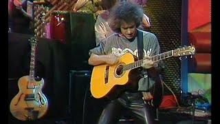 DOC Rai 19871989  Pat Metheny Group First Circle 1988 [upl. by Malek364]