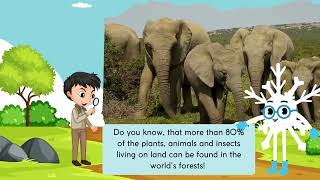 Forest and their Benefits Explained for Kids   Wisecroc Kids ELeanring [upl. by Nolaj]