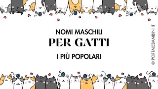 Nomi per gatti maschi  I più usati [upl. by Ybrad]