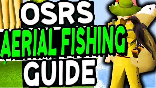 The Ultimate Aerial Fishing Guide Old School Runescape [upl. by Woodruff]