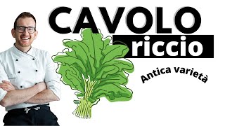 Cavolo Riccio 🥦 VARIETA ANTICA come cucinarlo [upl. by Anaile]