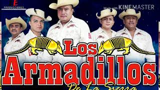 Los armadillos de la sierra mix [upl. by Akema]