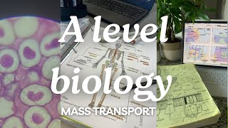 A level biology edexcel a SNAB Topic 1 Mass Transportation [upl. by Kegan]