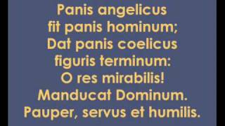 César Franck Panis Angelicus [upl. by Arand]