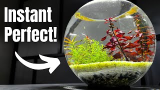 How I Nailed My First No Filter Aquarium [upl. by Isahella]