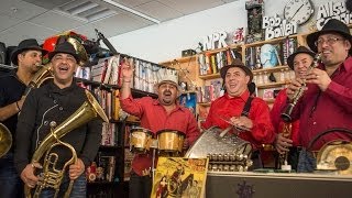 Fanfare Ciocarlia NPR Music Tiny Desk Concert [upl. by Odradlig128]