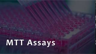 MTT Assay for Cell Viability [upl. by Bik]