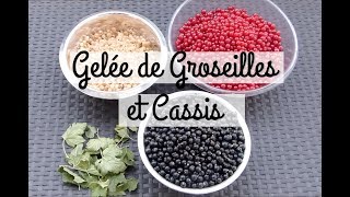 Cuisine N°15   Recette  Gelée de groseilles et cassis [upl. by Yatnoj931]