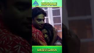 Vaseegara Video Song  Minnale Movie Songs  Madhavan  Reema Sen  Harris Jayaraj  YTShorts [upl. by Ilana]