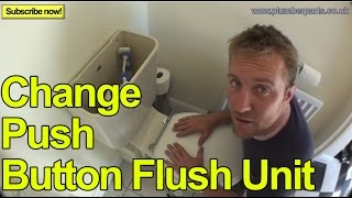 HOW TO CHANGE A PUSH BUTTON FLUSH UNIT  Plumbing Tips [upl. by Claudette]