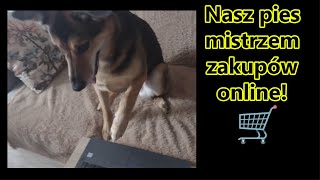 🐶🐾Matylda Kupuje na YouTube  stare przedmioty antyki  porcelanę szkło 📺😲🐶🐾 targ antyki [upl. by Farmelo]