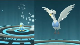 DUCKLETT evolves into SWANNA in Pokemon GO  Trainer Ari [upl. by Einnaf102]