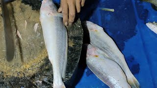 Most Popular Big Poa Fish Cutting Skills Live In Fish Market  Fish Cutting Skills BD [upl. by Alan]