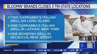 Carrabbas Italian Grill Bonefish Grill locations close in NY NJ [upl. by Kleper]